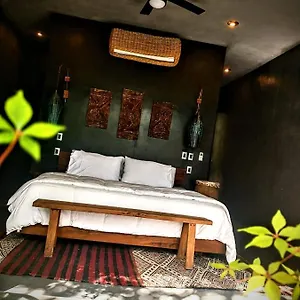 Casa Vive Bed & Breakfast